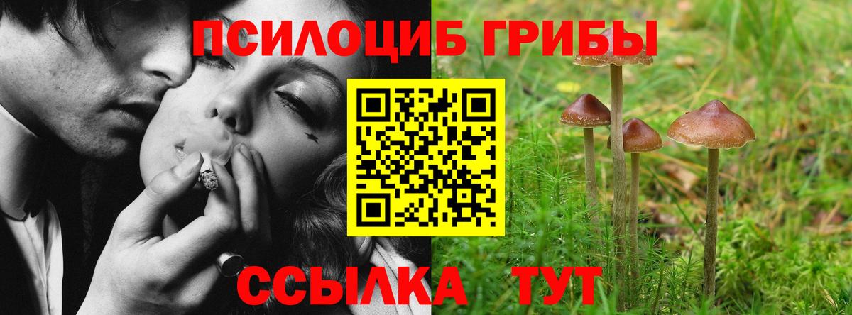Псилоцибиновые грибы ЛСД  Вход с VPN  Ростов-на-Дону 